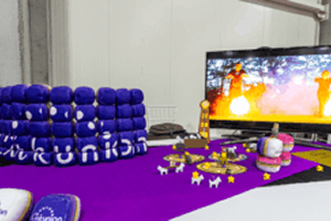 Cirkunion Jemball